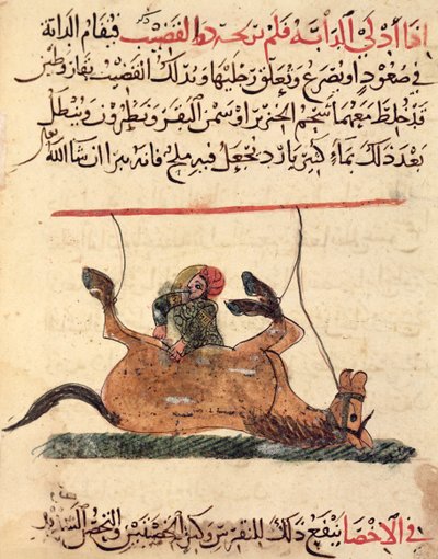Operation on a Horse, Illustration from the 